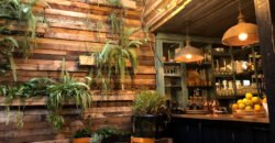 Kiin Thai-Viet Eatery