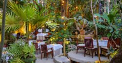 Café des artistes